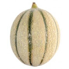 The Charentais Melon